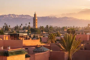 Cameron Immobilier Marrakech : une nouvelle signature sur le marché immobilier de la ville ocre